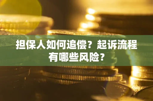 北京担保人如何追偿？起诉流程有哪些风险？
