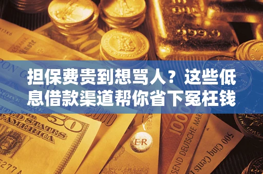 北京担保费贵到想骂人？这些低息借款渠道帮你省下冤枉钱