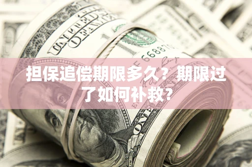 北京担保追偿期限多久？期限过了如何补救？